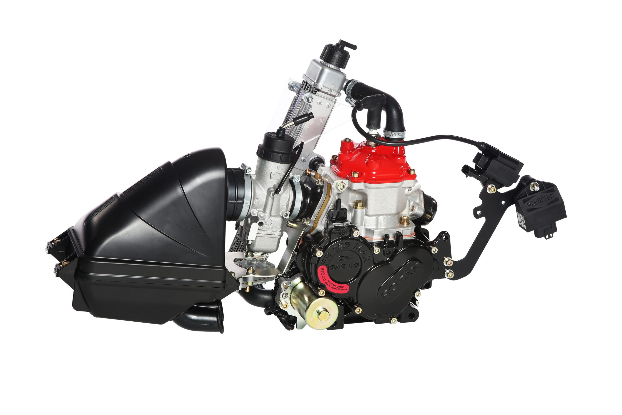 ROTAX 125 MINI MAX EVO MOD.20